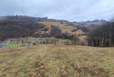 Teren agricol extravilan de 16400 mp, în Poiana Mărului - 5