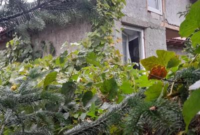 Casă cu Teren 200 Mp în Amara - 4