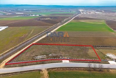 Teren Construcții intravilan de 7092 mp, în Horia - 8