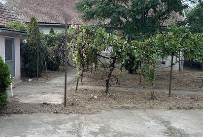 Casă cu 4 camere în Sculia - 8