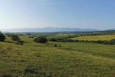Teren de 5700 mp, în Central