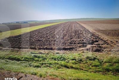 Teren de 15500 mp, în Curtești