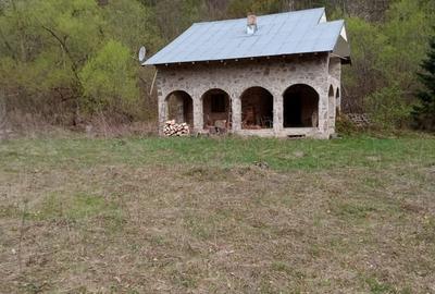 Teren de 30283 mp, în Tarcău
