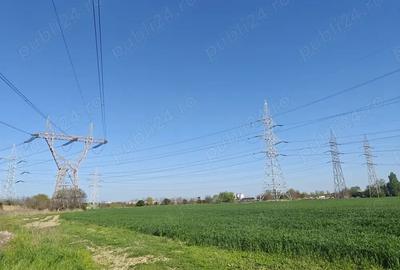 Teren de 5000 mp, în Cățelu - 3