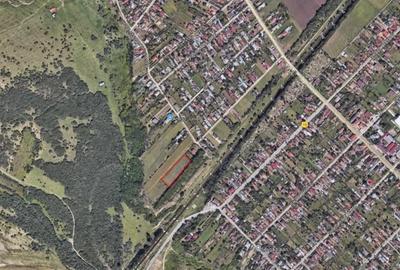 Teren de 3641 mp, în Băjani - 1