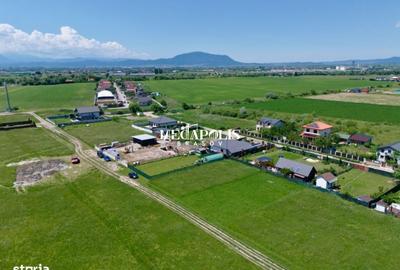 Spațiu comercial, în Sânpetru - 5