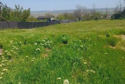 Teren de 1500 mp, în Foltești - 3
