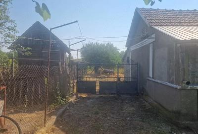 Casă cu Teren 2000 Mp în Izimșa - 6