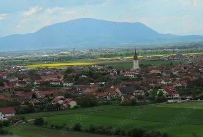 Teren de 500 mp, în Triaj - 5