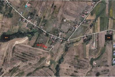 Teren de 500 mp, în Borhanci - 5