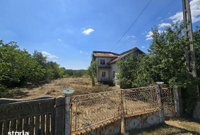 Teren de 3200 mp, în Albota