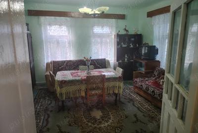 Casă cu 6 camere cu Teren 6000 Mp în Diviciorii Mici - 3