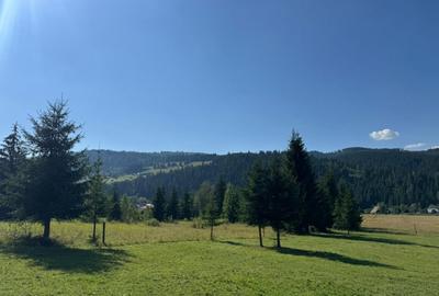 Teren agricol intravilan de 22000 mp, în Plaiu Șarului - 3