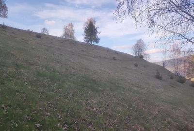 Teren de 100000 mp, în Horea - 4