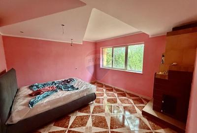 Casă individuală cu 8 camere cu Canalizare în Vulturu - 11