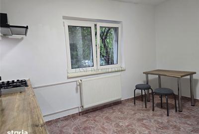 Apartament cu 2 camere, mobilat în Tei - 10