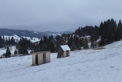 Teren de 25731 mp, în Breaza - 6