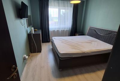 Apartament cu 3 camere decomandat în Valea Lupului - 4