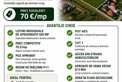 Spațiu comercial, în Limanu