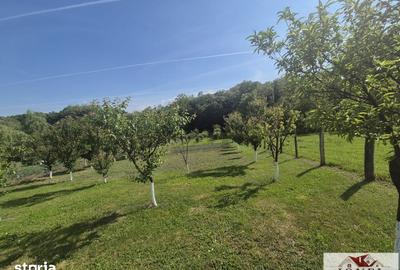 Teren de 2292 mp, în Vințu de Jos