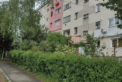 Garsonieră semidecomandată în Vest - 4