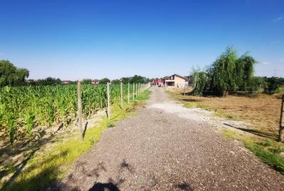 Teren de 1000 mp, în Căpățânești - 2
