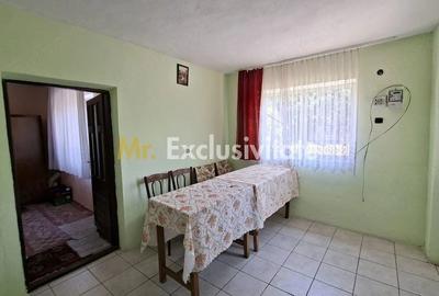 Casă cu Teren 1667 Mp în Teiu