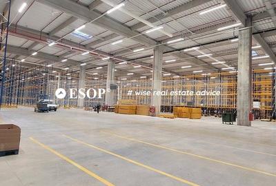 Spațiu industrial, de 5,300 mp, în Nord - 4