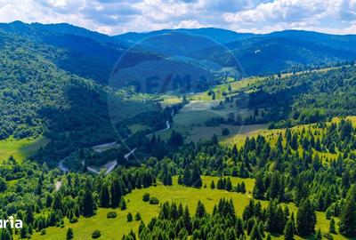 Teren de 2800 mp, în Central