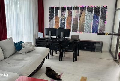 Apartament cu 3 camere în Dobroești - 2