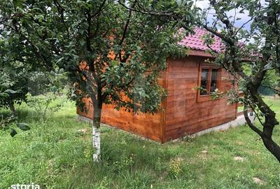 Teren de 1300 mp, în Viile Satu Mare - 8