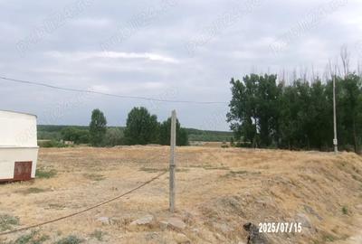 Teren de 1010 mp, în Măcin - 5