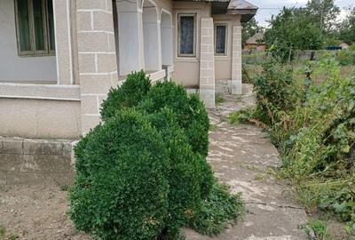 Casă cu 4 camere în Fulga