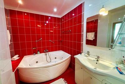 Casă individuală cu 10 camere cu Piscina în Malul Ursului - 18