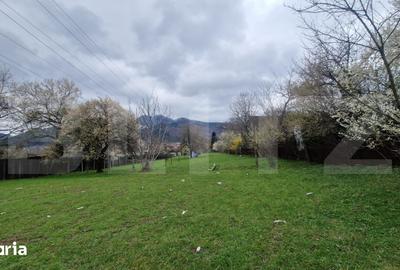 Teren de 4300 mp, în Baciu - 2