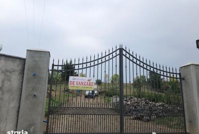 Teren de 11600 mp, în Viile Satu Mare - 10