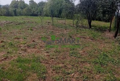 Casă cu 3 camere în Central
