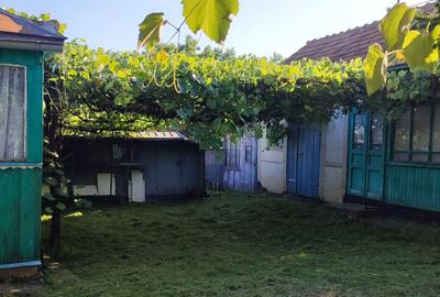 Casă cu 2 camere în Dolina