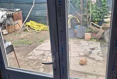 Casă cu 3 camere cu Teren 1215 Mp în Barza - 7