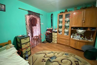 Casă cu 6 camere cu Teren 4831 Mp în Bixad - 6