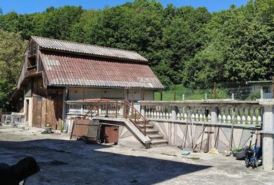 Casă cu 3 camere cu Teren 1600 Mp în Bascov - 3