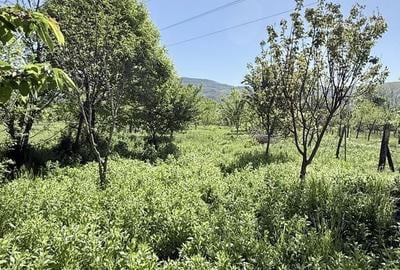 Casă cu 4 camere cu Teren 1668 Mp în Bujoreni