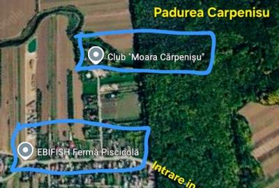 Teren Construcții extravilan de 926 mp, în Cărpenișu - 4