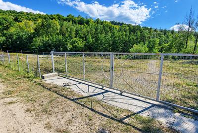 Teren Construcții intravilan de 2490 mp, în Bozioru