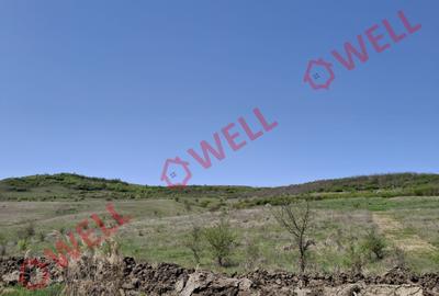 Teren agricol extravilan de 60000 mp, în Agrișteu - 4