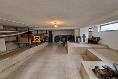 Spațiu industrial, de 66.449996948242 mp, în Cornitoiu - 2