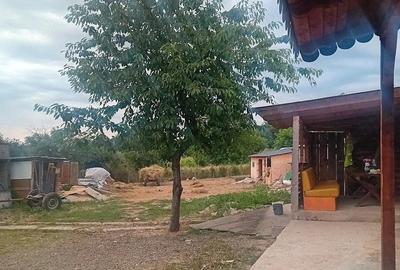 Casă cu Teren 1300 Mp în Zăicești