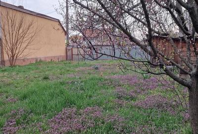 Teren de 540 mp, în Iosia - 2