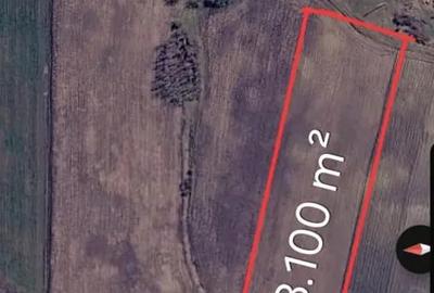 Teren de 13100 mp, în Papiu Ilarian