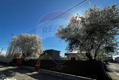 Casă cu 3 camere cu Teren 1000 Mp în Răcari